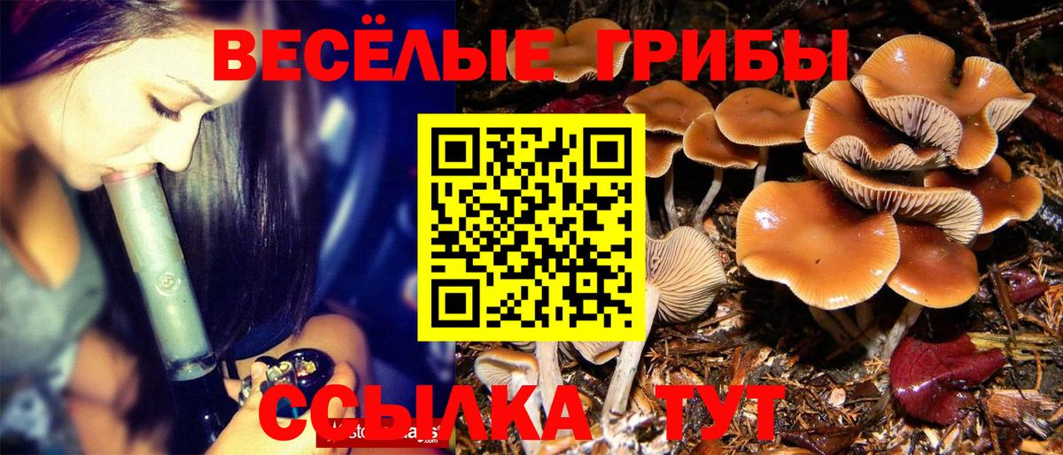 Галлюциногенные грибы мицелий  Псилоцибиновые грибы Psilocybine cubensis  Вход с VPN  Саратов 