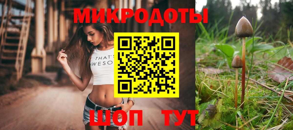 Галлюциногенные грибы Psilocybe Саратов